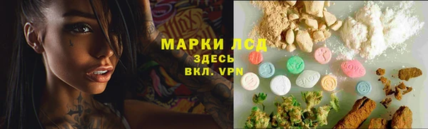 стаф Армянск