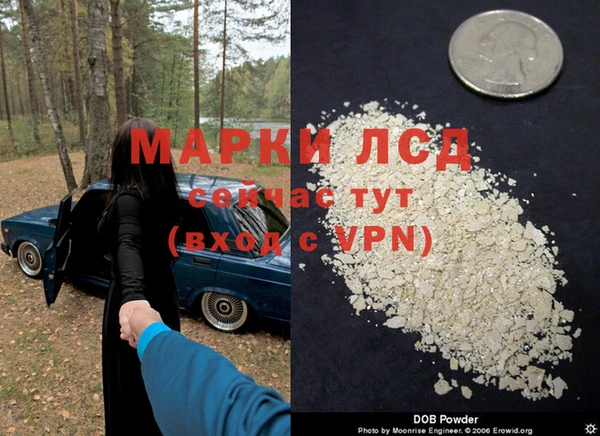 крисы Снежногорск