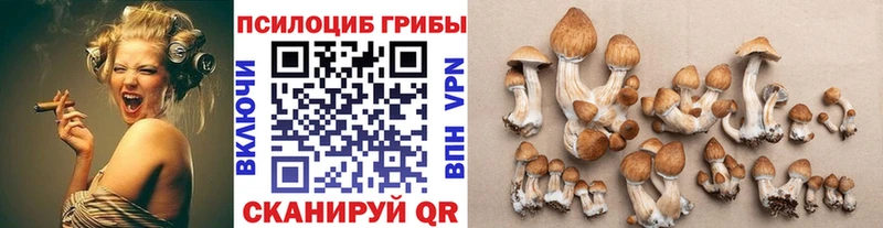 даркнет сайт  Ухта  Псилоцибиновые грибы Psilocybine cubensis 