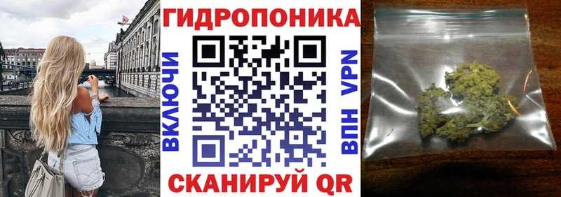 Каннабис конопля  omg   Ухта  наркота 